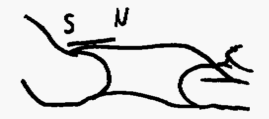 CompassLordis.gif (2K)