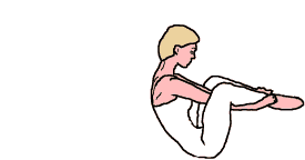 Pilates:  The Side Kick Series: The Seal